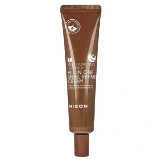 MIZON All in One Snail Repair Cream 35 ml - Multifunkční pleťový krém s vysokým obsahem šnečího mucinu
